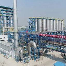 追夢(mèng)綠色化工 揚(yáng)子石化